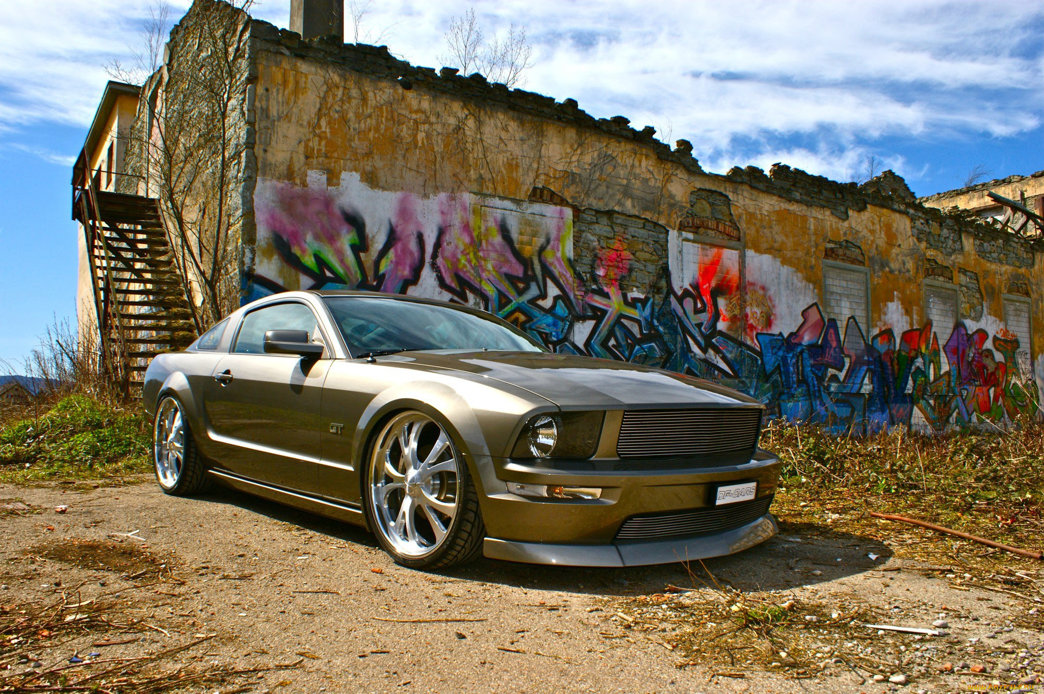 , mustang